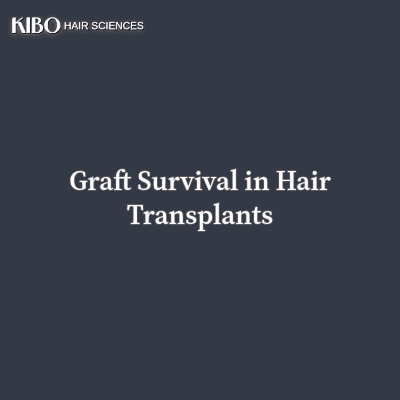 flat lay navy blue background with text "Graft Survival in Hair Transplants" centred and in middle and on top left corner there is Kibo clinics logo